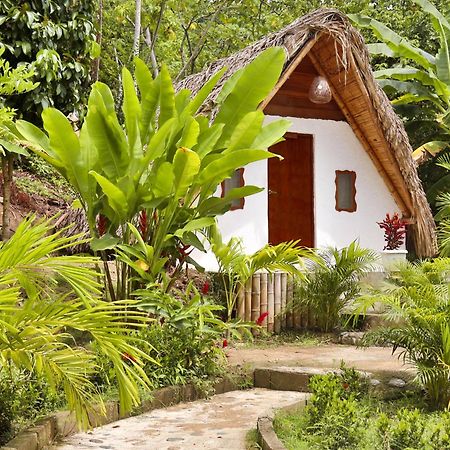 Eco Hotel Amanecer Tayrona Ел Заино Екстериор снимка