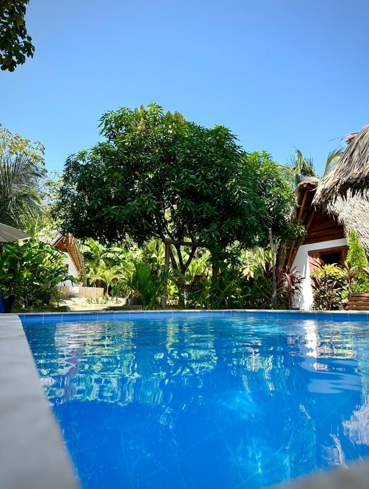 Eco Hotel Amanecer Tayrona Ел Заино Екстериор снимка