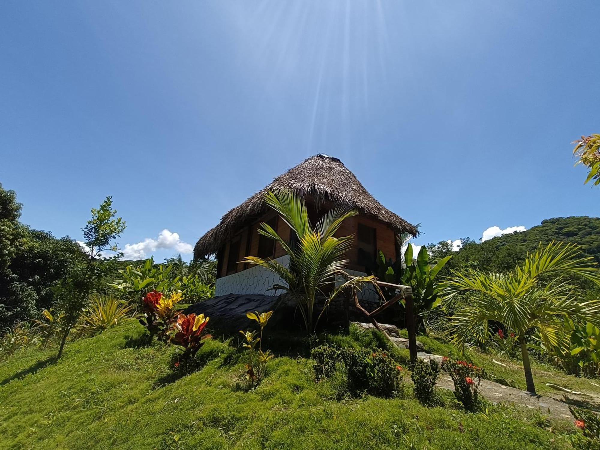 Eco Hotel Amanecer Tayrona Ел Заино Екстериор снимка