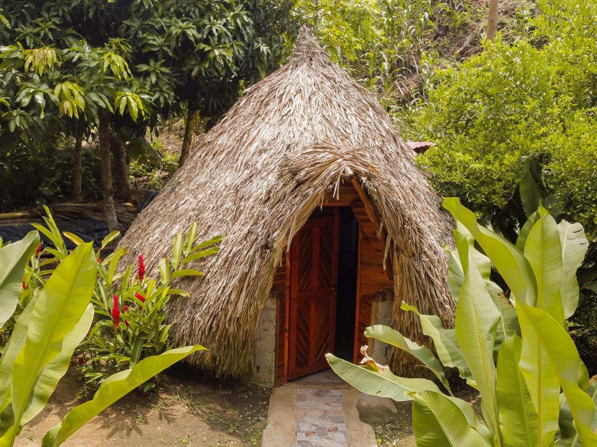 Eco Hotel Amanecer Tayrona Ел Заино Екстериор снимка