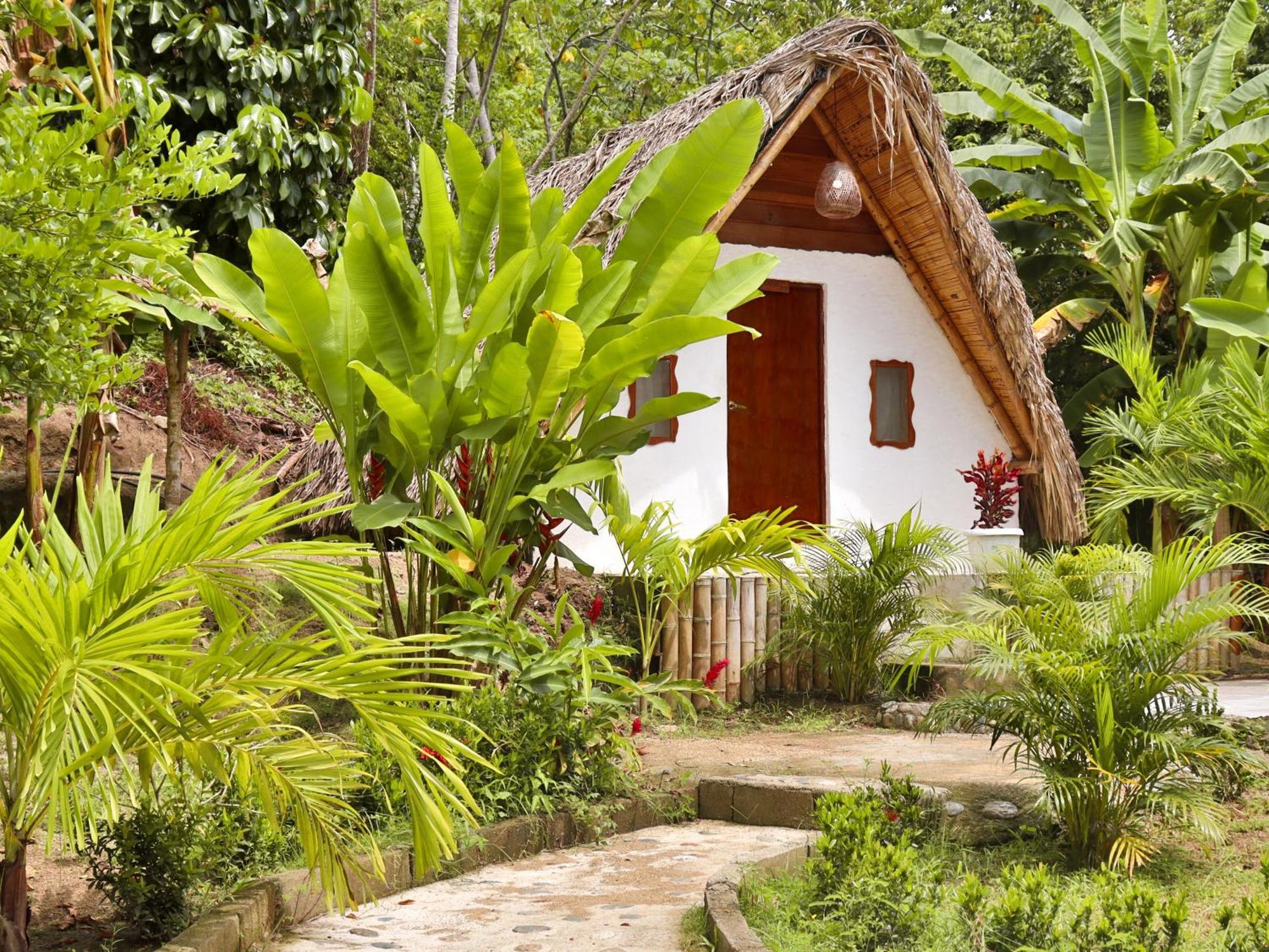 Eco Hotel Amanecer Tayrona Ел Заино Екстериор снимка